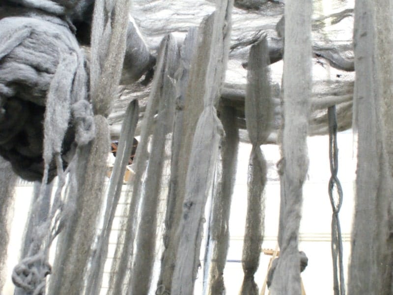 Nature image