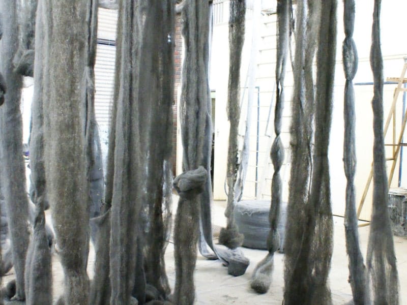 Nature image