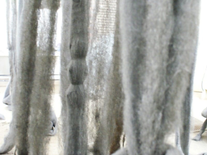 Nature image