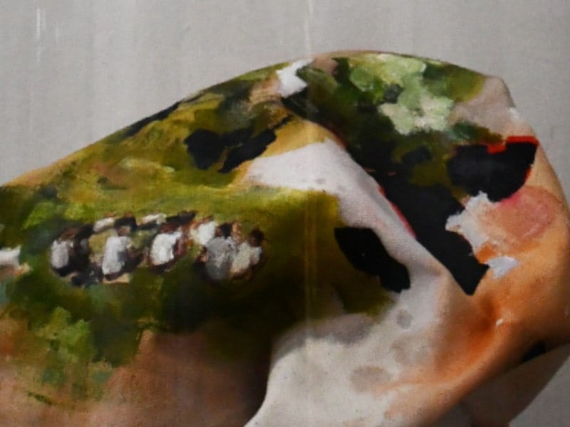 Nature image