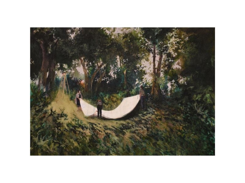 Forest image