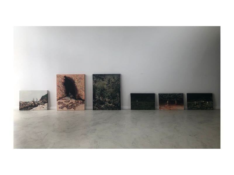 Forest image