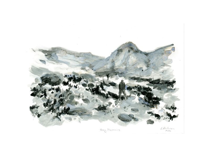 Forest image