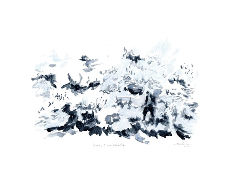 Forest image