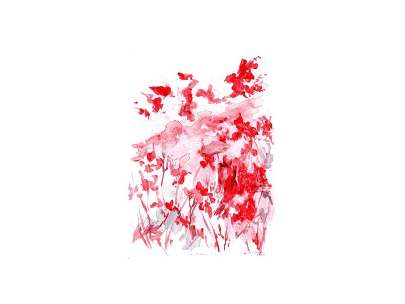 Forest image
