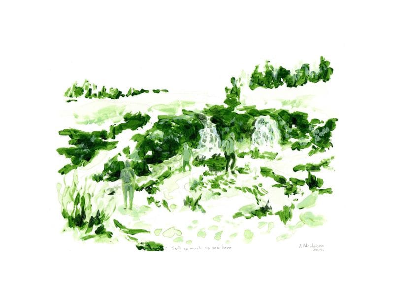Forest image