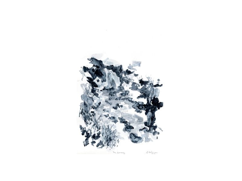 Forest image