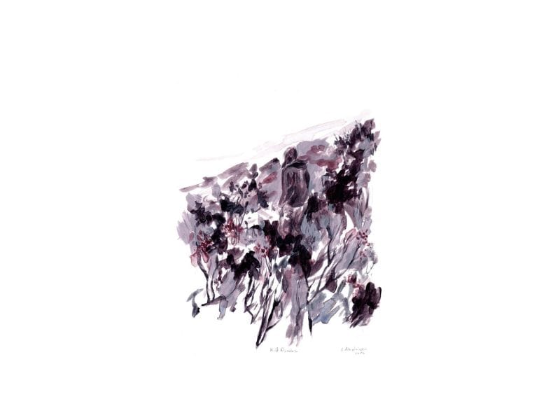 Forest image